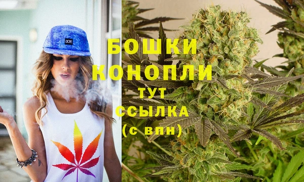 ECSTASY Лагань