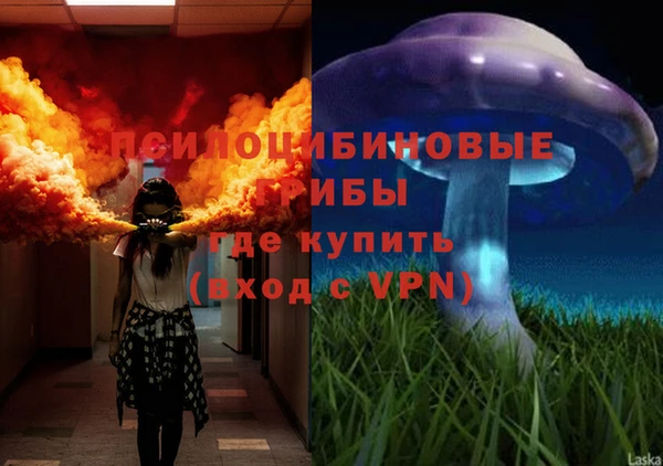 COCAINE Богородск