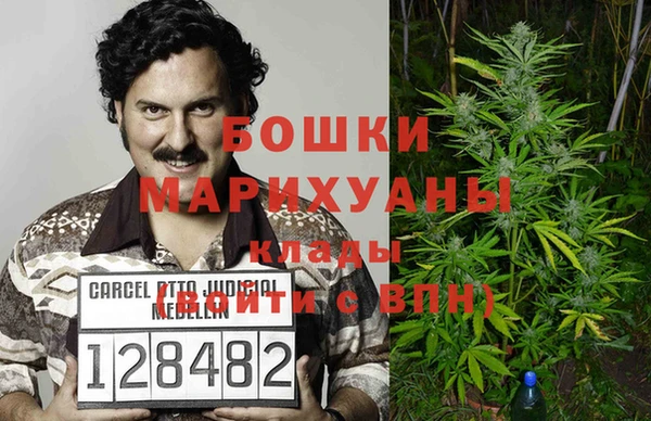 эйфоретик Богданович