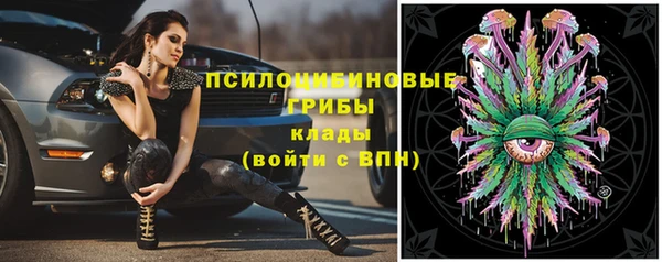эйфоретик Богданович