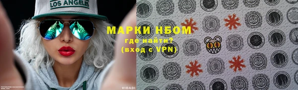 дживик Богородицк