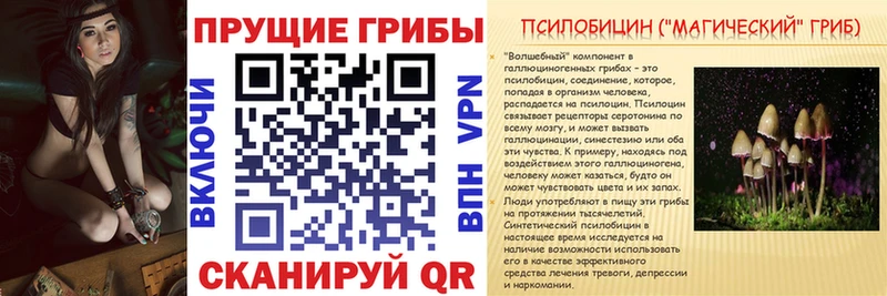 Псилоцибиновые грибы MAGIC MUSHROOMS Егорьевск