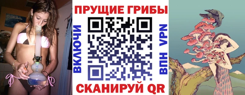 Псилоцибиновые грибы ЛСД  где купить наркоту  Егорьевск 