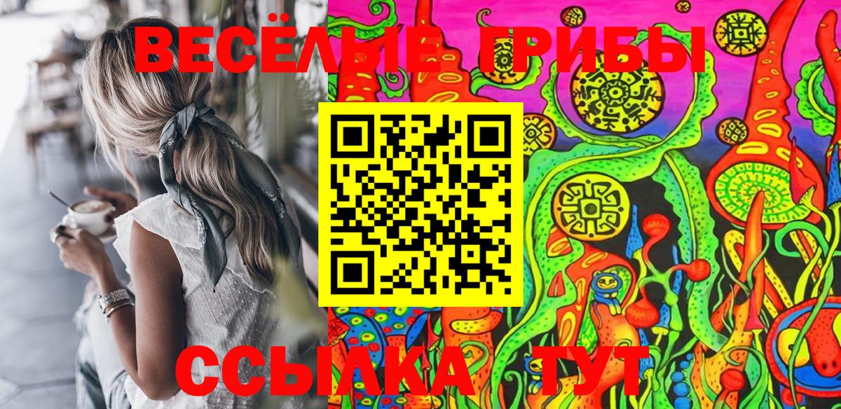 Галлюциногенные грибы GOLDEN TEACHER  Псилоцибиновые грибы мухоморы  как найти   Егорьевск  Вход с VPN 