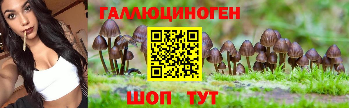 Галлюциногенные грибы Cubensis Егорьевск